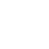 bsf logo