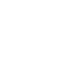 Adani Logo